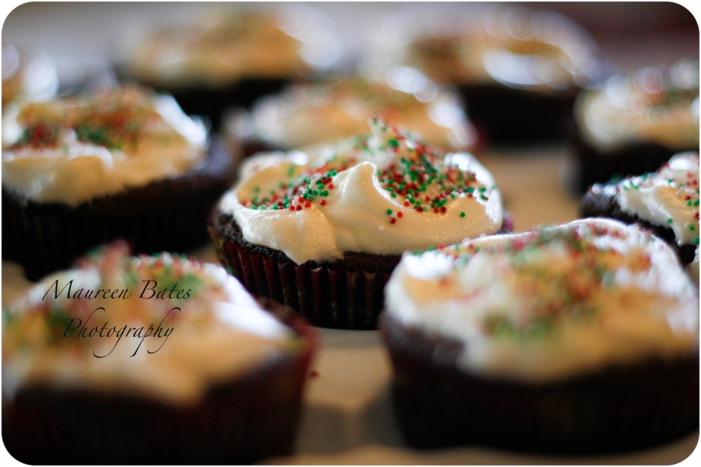 cupcakes003
