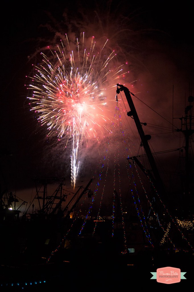 happy_new_year_fire_works