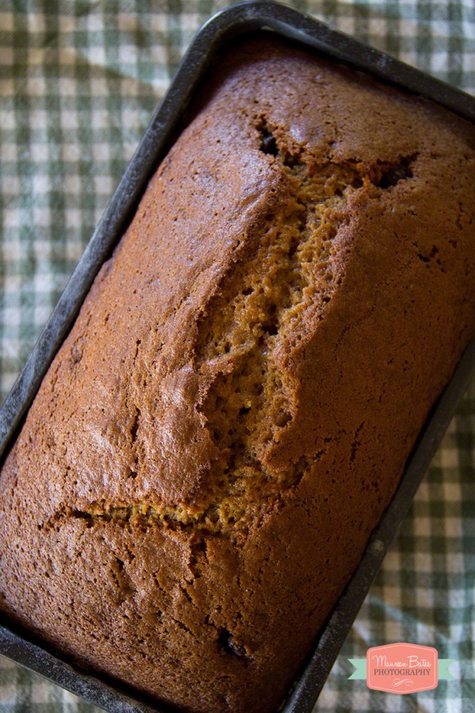 pumpkin_bread.004