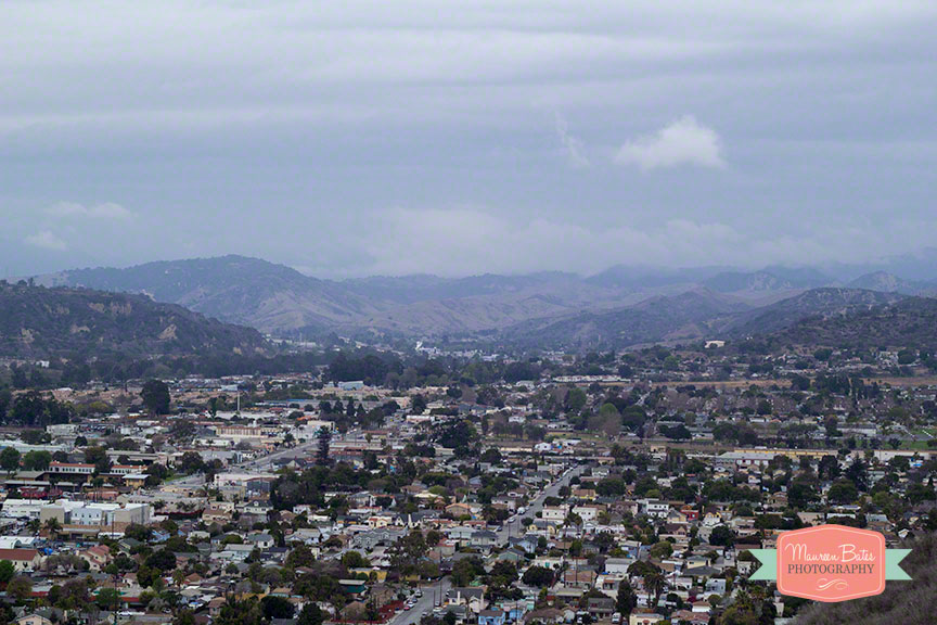 avenue_ventura_mbphoto_2014