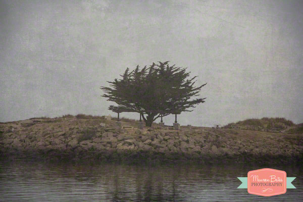 unplanned_construction