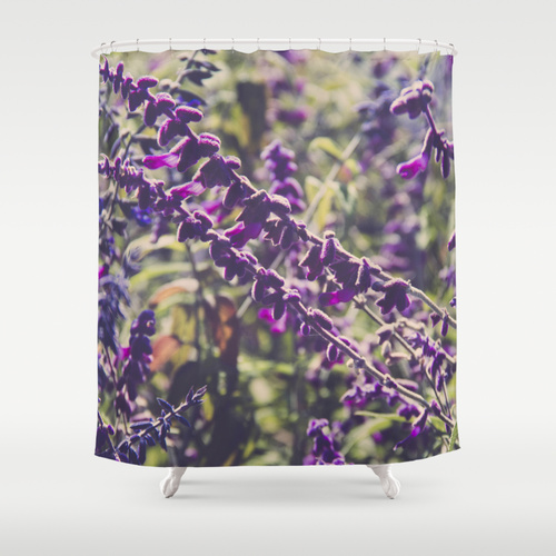 7208628_5633805-crtn_l