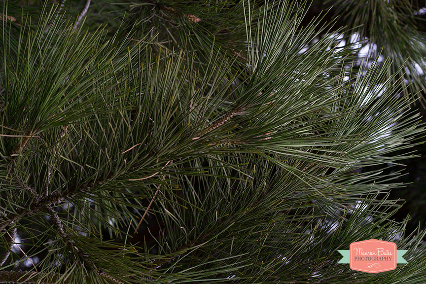 week_photos_3142014.001