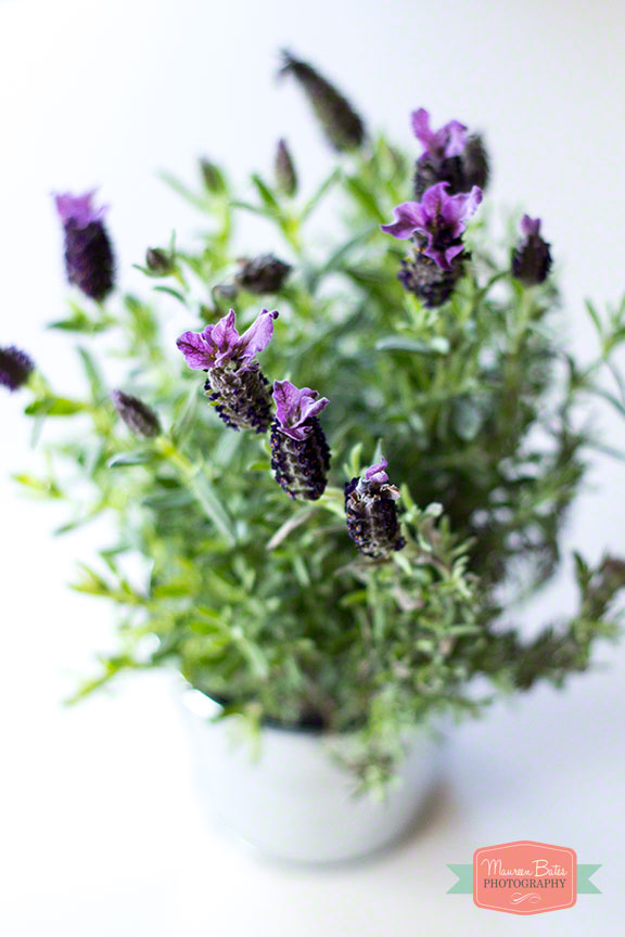 week_photos_3142014.002