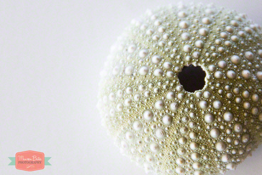 week_photos_3142014.003