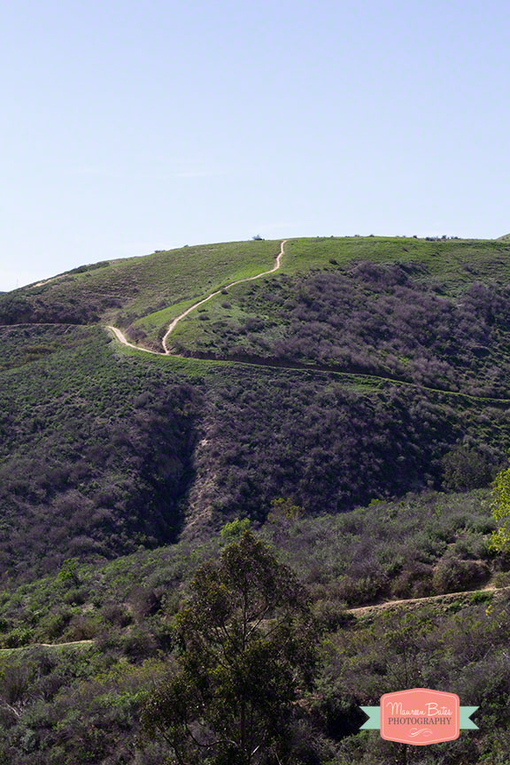 hike_ventura
