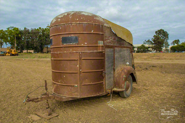 oct_27_2014_pumpkin_patch.04