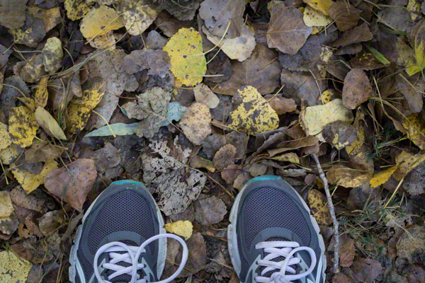 mbphoto_11_21_sneakers_leaves