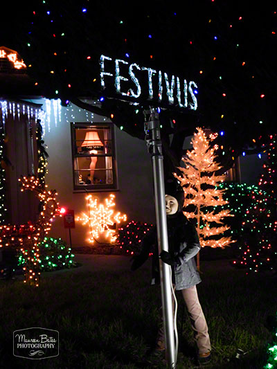 week_photos_dec_14_19_2014.1