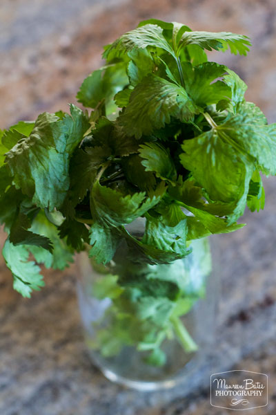 guacamole_mbphoto.002