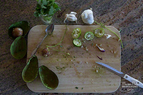 guacamole_mbphoto.003