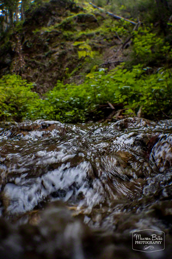 road_trip_march_2015_mbp.01