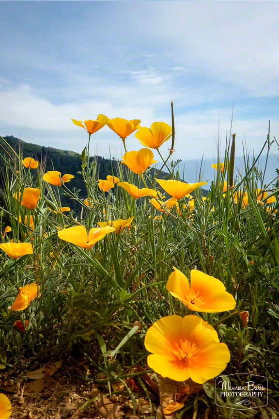 road_trip_march_2015_mbp.05