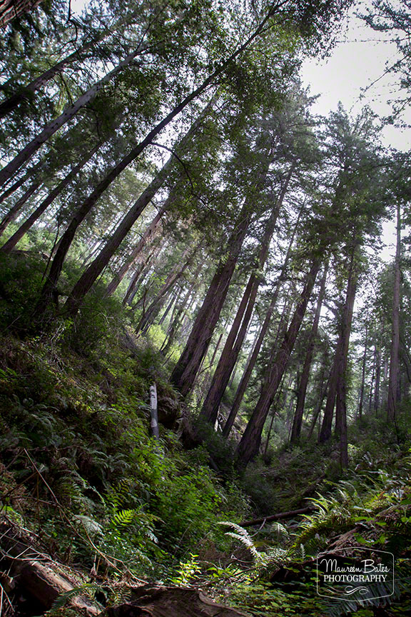 road_trip_march_2015_mbp.08