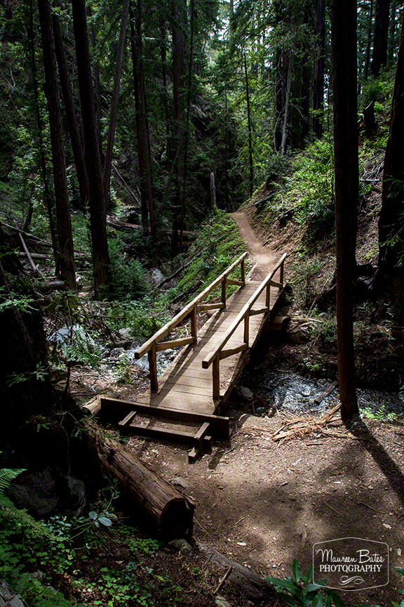 road_trip_march_2015_mbp.09