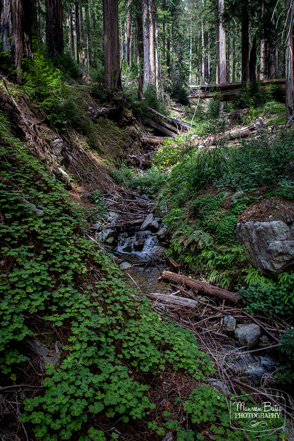 road_trip_march_2015_mbp.11