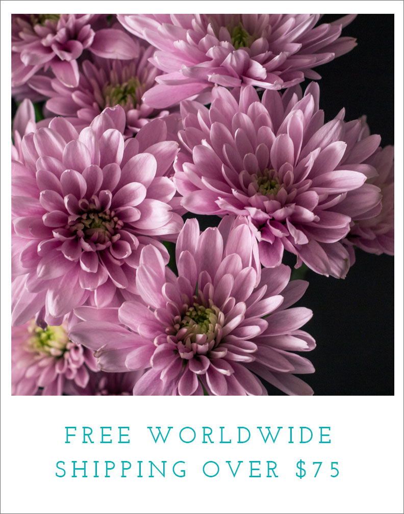 free_shipping_over_75_sept