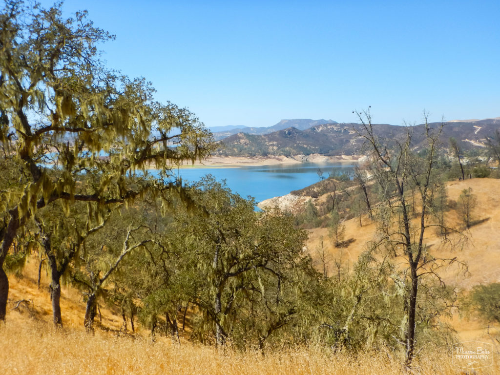 Maureen Bates Photography, Lake Naciemento, California, Camping, Adventure, maureenbates.com