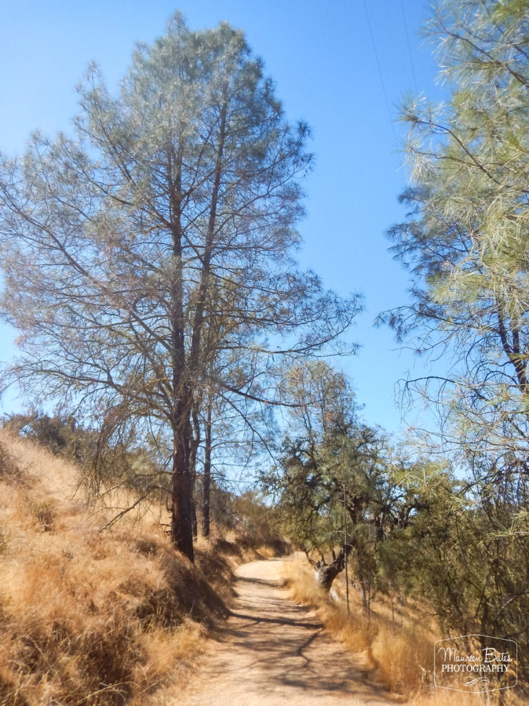Maureen Bates Photography, Lake Naciemento, California, Camping, Adventure, maureenbates.com