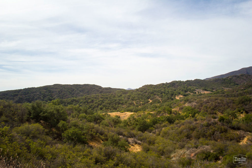 lookout_point_2_mbphoto