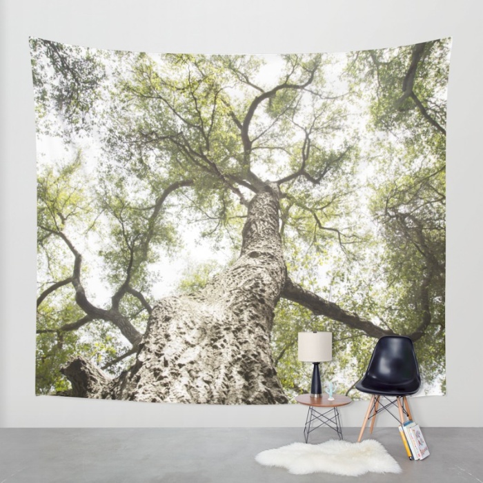 Maureen Bates Photography, Tree, Ojai, California, Fine Art Print