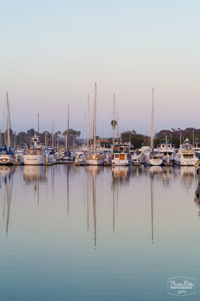 Maureen Bates Photography, Tree, Ojai, California, Fine Art Print