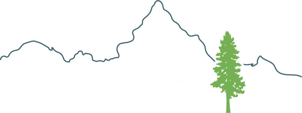 Maureen Bates Photography, Redwood Tree, California State Tree