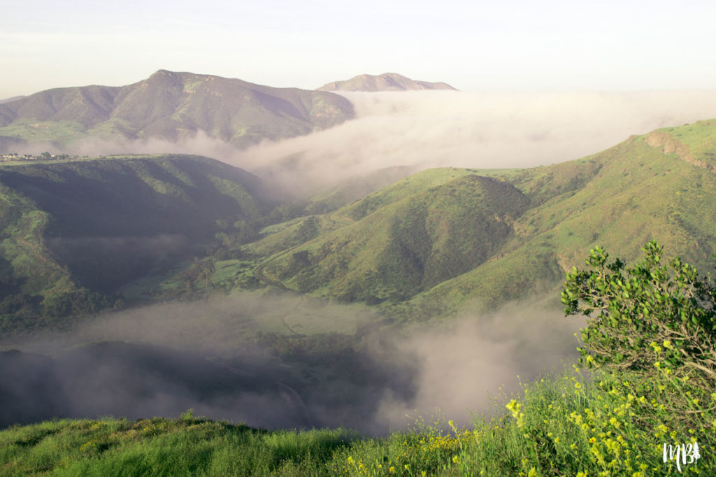 Foggy Mountain View, Nature Photography, Maureen Bates Photography, Shop Maureen Bates Photography, Southern California, California, Choose Mountains, Print Shop, Photography Print Shop, www.maureenbates.com, early morning photo shoot