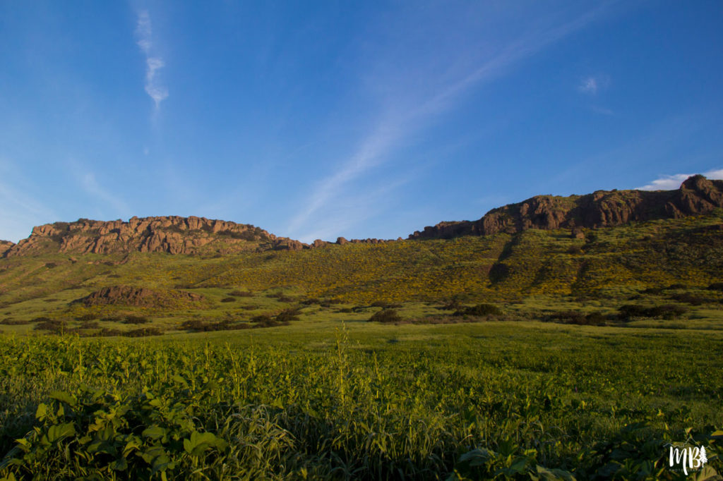 Green Fields Mountains and Blue Skies, Nature Photography, Maureen Bates Photography, Shop Maureen Bates Photography, Southern California, California, Choose Mountains, Print Shop, Photography Print Shop, www.maureenbates.com
