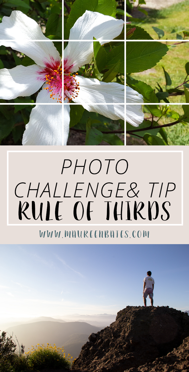 The rule of thirds is a basic principle that makes your composition interesting and balanced.