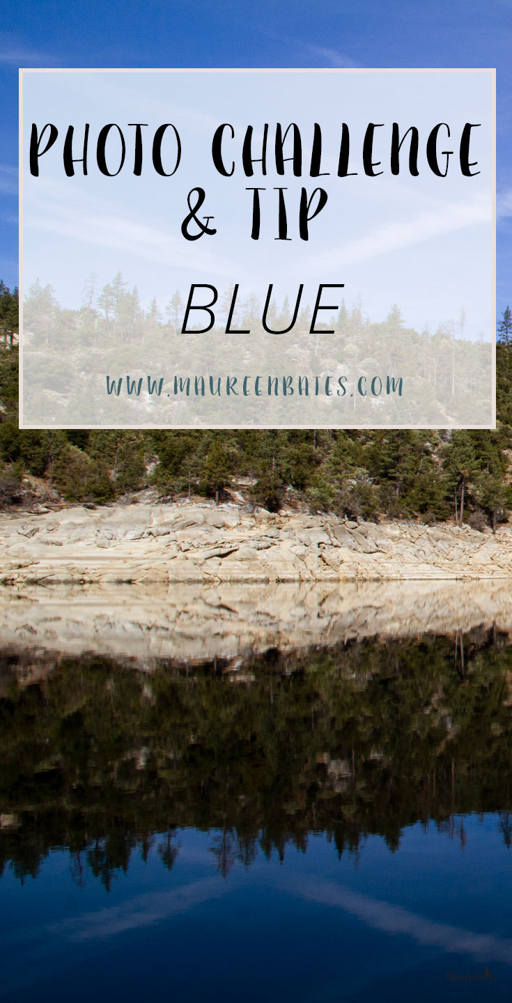 Post your Photo Challenge & Tip: Blue photo(s) on social media and use the hashtag #MBPhotoChallenge Every Monday I’ll give you a photo prompt to enhance your photography skills and you’ll have a great future album!! I challenge you to use the MBPhoto Challenge in your photography throughout the week. Think of it as a photography scavenger hunt! Take as many or as few pictures as you desire that week. Use any camera you have…DSLR, film, phone, or even a Polaroid. Post your photo(s) on social media and use the hashtag #MBPhotoChallenge