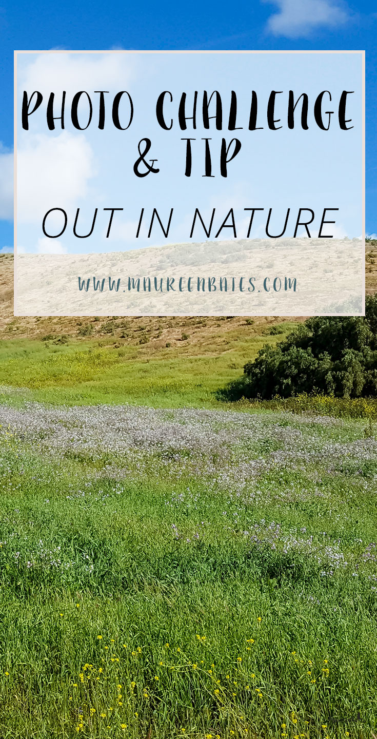 Photo Challenge & Tip Out In Nature. Post your Photo Challenge & Tip: Out In Nature photo(s) on social media and use the hashtag #MBPhotoChallenge Every Monday I’ll give you a photo prompt to enhance your photography skills and you’ll have a great future album!! Join Me, Maureen Bates Photography!